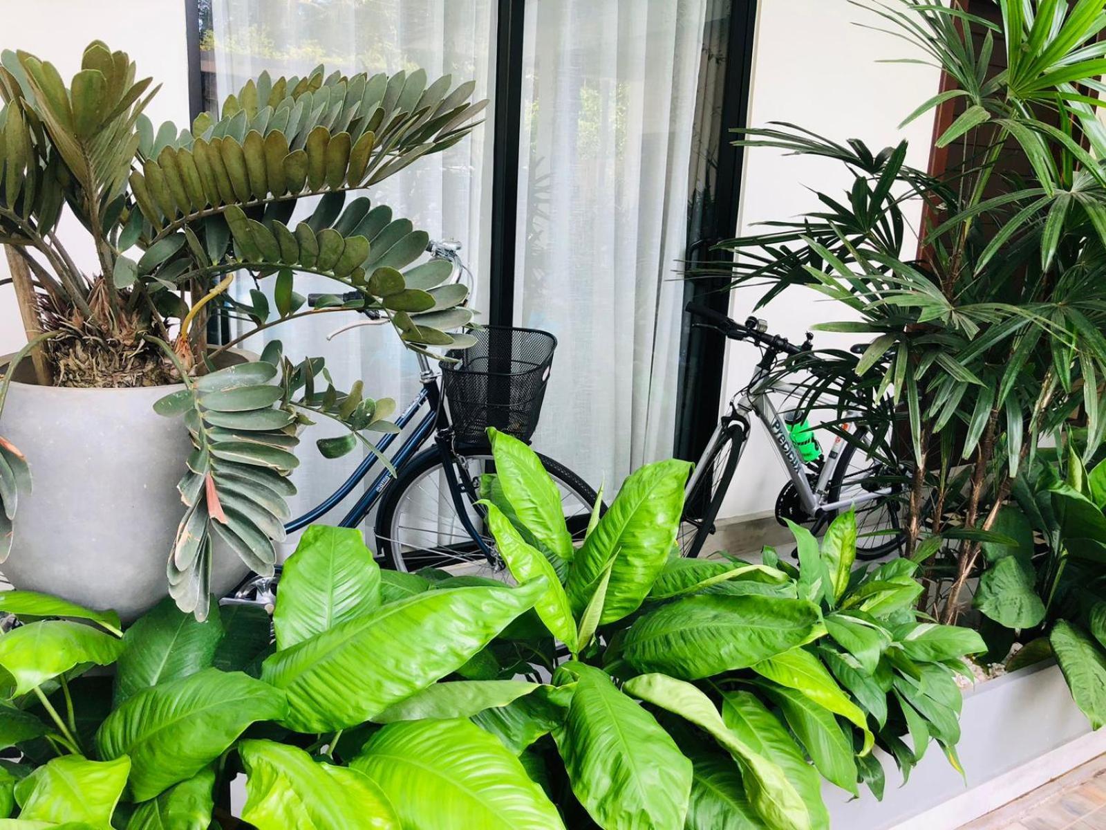 Ceylanro Transit Villa Negombo Dış mekan fotoğraf